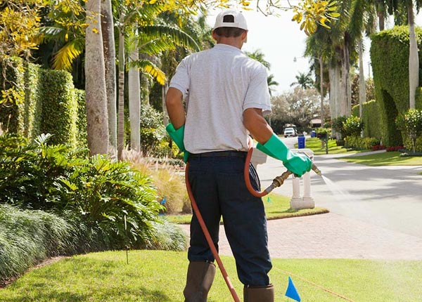 About Bella Vista CA Pest Control